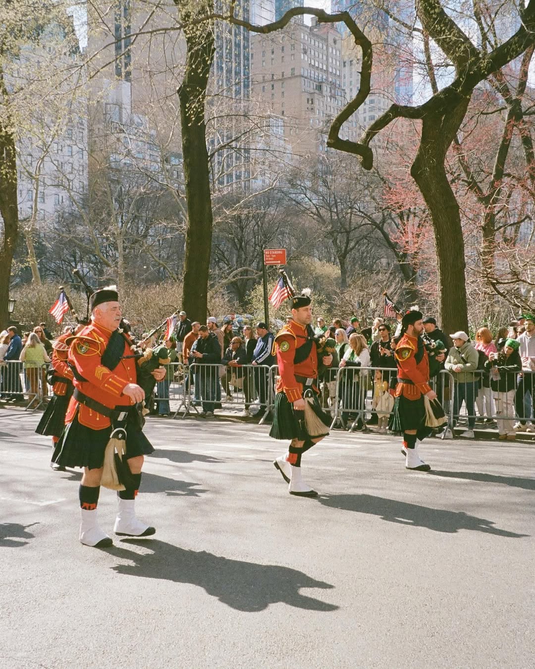 Saint Patrick's Day 4